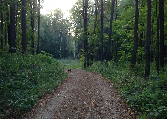 Am Zwinger 2 Apartman